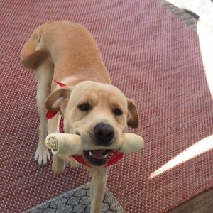 Meet your Posher, Hannah